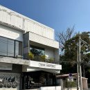 와일드로즈 | 치앙마이, 라일라요가·프리덤요가·와일드로즈 요가 비교 후기