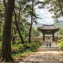 강화도 당일치기 강화도 전등사 사찰 절 볼거리 이미지