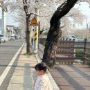 반쟁이공원 이미지