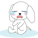 프리티파우 이미지