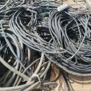 칠성자원 이미지