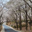 카페보리 이미지