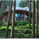 힐링우드2 이미지