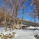 민둥산 850 전망대 이미지