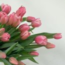 화원농장3 이미지