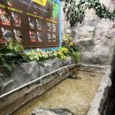 양서·파충류생태공원 매표소 옆 | [전남 함평] 광주 근교 아이들과 가볼 만한 곳 - 함평 양서파충류 생태공원