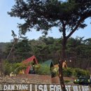 숲속 빵마을 카페 뻐터우드 | 광주근교 애견동반 독채 펜션 담양 리사 숲속마을 추천