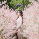 셀릭스 이미지