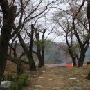 덕치초등학교 이미지