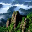 대둔산농장 이미지