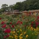 황토흙펜션 꿈의대화 이미지