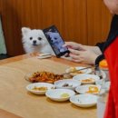 우리집설렁탕 - 충주시 구룡로 411 | 우리집설렁탕