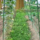 재기농장 이미지