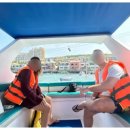 섬과 하루 이미지