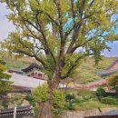 보문사