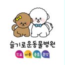 슬기로운동물병원 이미지