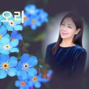 나의 가곡이야기(그대 돌아오라)2 이미지