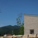 지수남명진취가 이미지