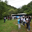 양구 가볼만한곳 국가숲길 DMZ 펀치볼 둘레길