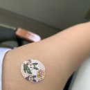 양난경의원 이미지