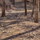 숲이좋아민박 이미지