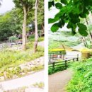 장척힐링 농촌체험마을 이미지