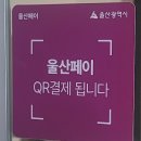 무브온PT센터 | 울산 달동 운동 여자 pt 추천 : 무브온PT센터 케틀벨 데드리프