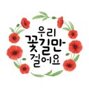 컴퓨레이터 이미지