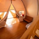 소나무세상 이미지