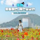 세븐일레븐 동해선명위점 | 동해 묵호 여행 아직 안가봤어? 한섬몽돌해변 돌담마을 해안숲공원 비밀 포토존