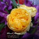 금호빌딩 이미지