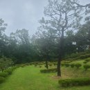 양수목장 이미지