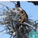 삼흥약국 이미지