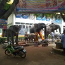 산골자전거 이미지