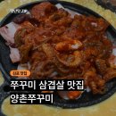 철판쭈꾸미 김치삼겹살 | [김포] 철판 쭈꾸미 삼겹살 맛집 양촌쭈꾸미 내돈내먹 솔직 후기