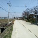 화성1298