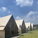 관산길 | 평택 바베큐 제대로 즐기는 곳 프리미엄 감성 캠핑식당 고기요기 안성 방문후기