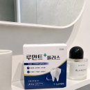 하루한알여월 | 튜브형 쓰다 고체치약으로 바꾸고 느낀 장점, 루민트 플러스 하루 한 알 잇몸관리 후기