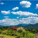 청풍을담다 이미지