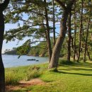 수목원해변펜션 이미지