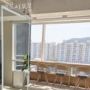 메르시모몽 네이버블로그