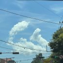 고래등회식당 | 포항 죽도어시장 맛집 추천 | 물회 맛집, 호갱행위 없는 고래횟집 내돈내산 후기 (+ 수향회식당 후기도)