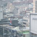 하단속시원내과의원 Daum카페