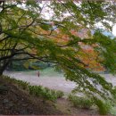 수련산방 이미지