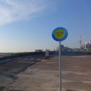 WR(부산광역시 사상구)-[사상로]-상-64 | 백사 · 홍조단괴) 전기자전거 하이킹 / 우도~성산포~제주공항~부산~창원 선박·버스·비행기 귀가 여정