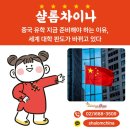 중문산업개발 | 중국 유학 지금 준비해야 하는 이유, 세계 대학 판도가 바뀌고 있다