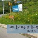 가야사슴민박 이미지