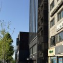 강남구청역 미용실 비오른헤어 청담점 레이어드컷 후기