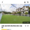 강릉경포라벤다애견펜션 이미지