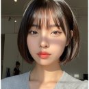 한결강아지미용실 네이버블로그